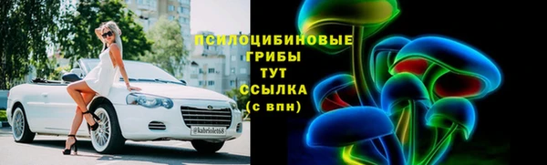 PSILOCYBIN Арсеньев
