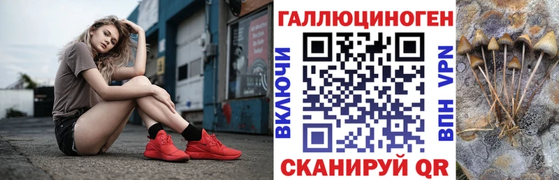 Галлюциногенные грибы Psilocybine cubensis Снежногорск
